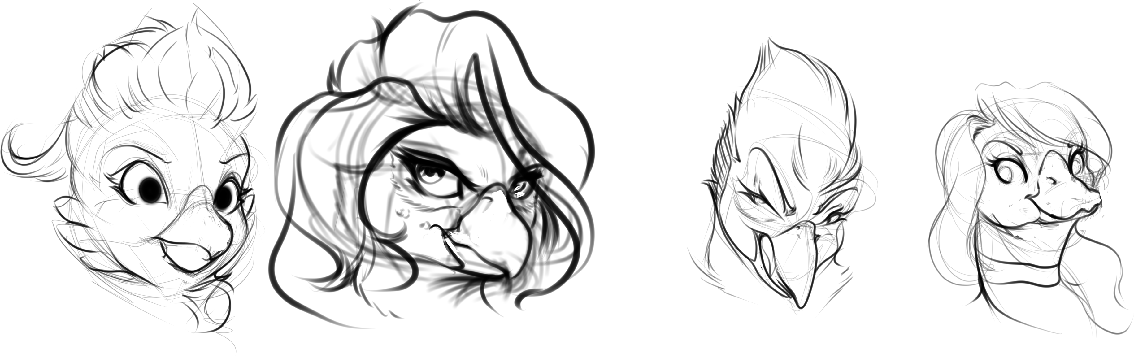 npc_bird_headshots_sketch.png